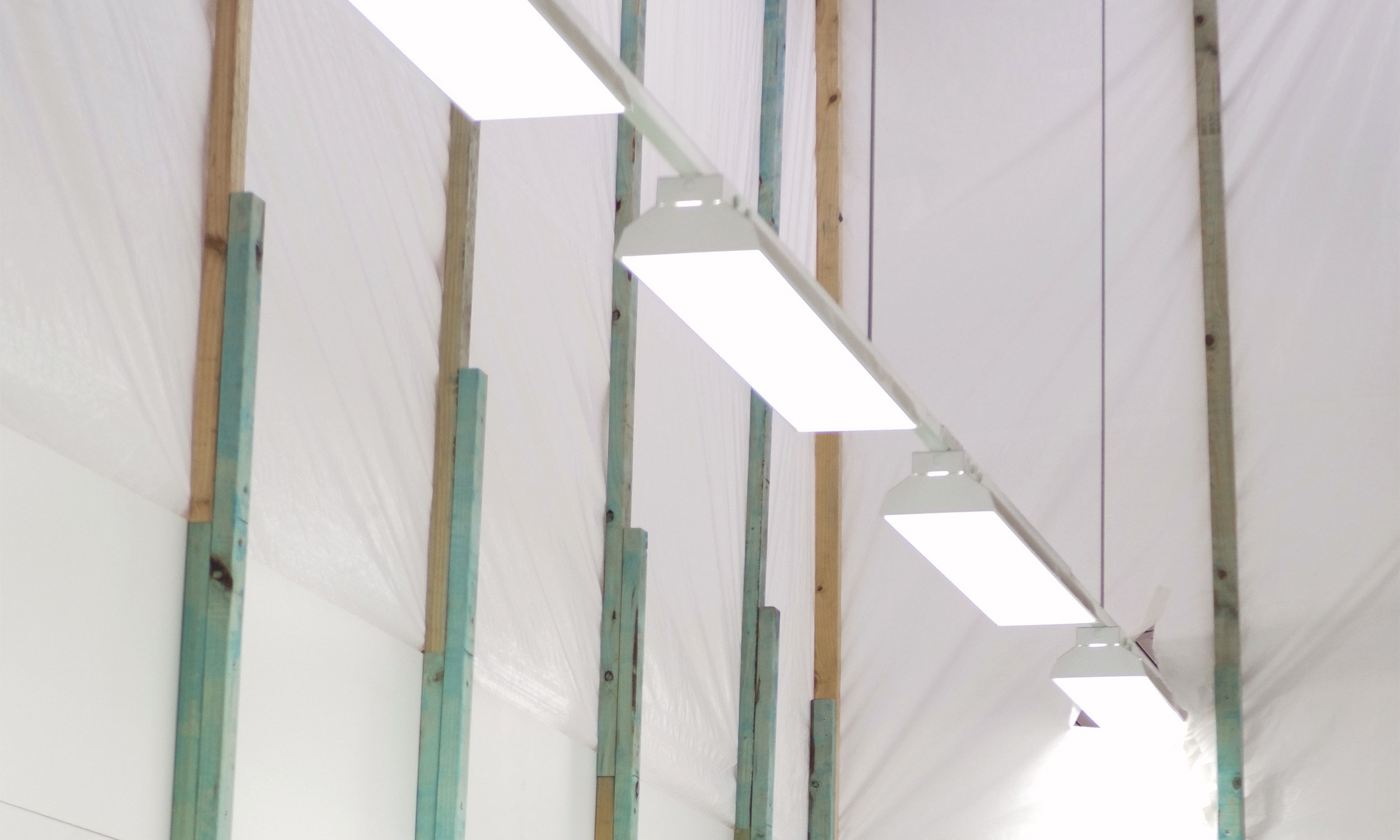 Multiple ceiling lights installed during home electrical repairs Perth by DCEA, showcasing safe wiring and modern residential lighting upgrades